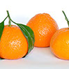 foto mandarinas