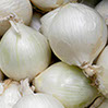foto cebollas