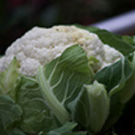 foto coliflor