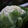 foto coliflor