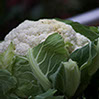 foto coliflor