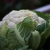 foto coliflor