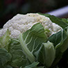 foto coliflor