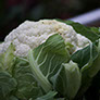 foto coliflor