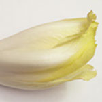 foto endibia