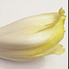 foto endibia