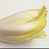 foto endibia
