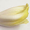 foto endibia