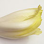 foto endibia