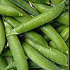 foto guisantes