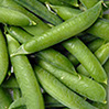 foto guisantes