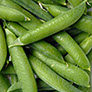foto guisantes
