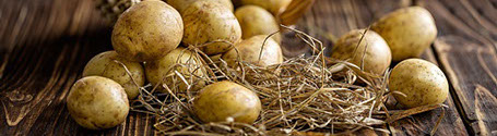 foto patatas es caragol