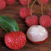 foto litchi