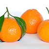 foto mandarina