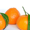 foto mandarinas