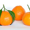 foto mandarinas