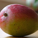 foto mango