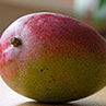 foto mango