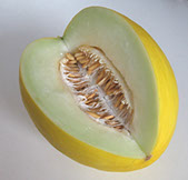 foto melón