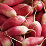 foto rabanos