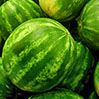 foto sandía