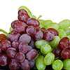 foto uvas