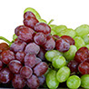 foto uvas