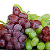 foto uvas